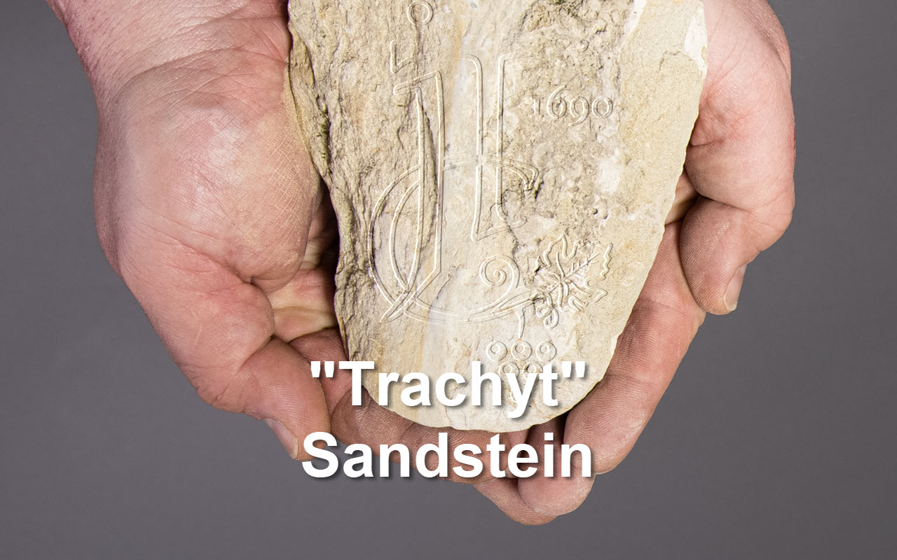 2009 Barbaresco Basarin Magnum Riserva Grand Cru "Sandstein" Piemont, Italien 