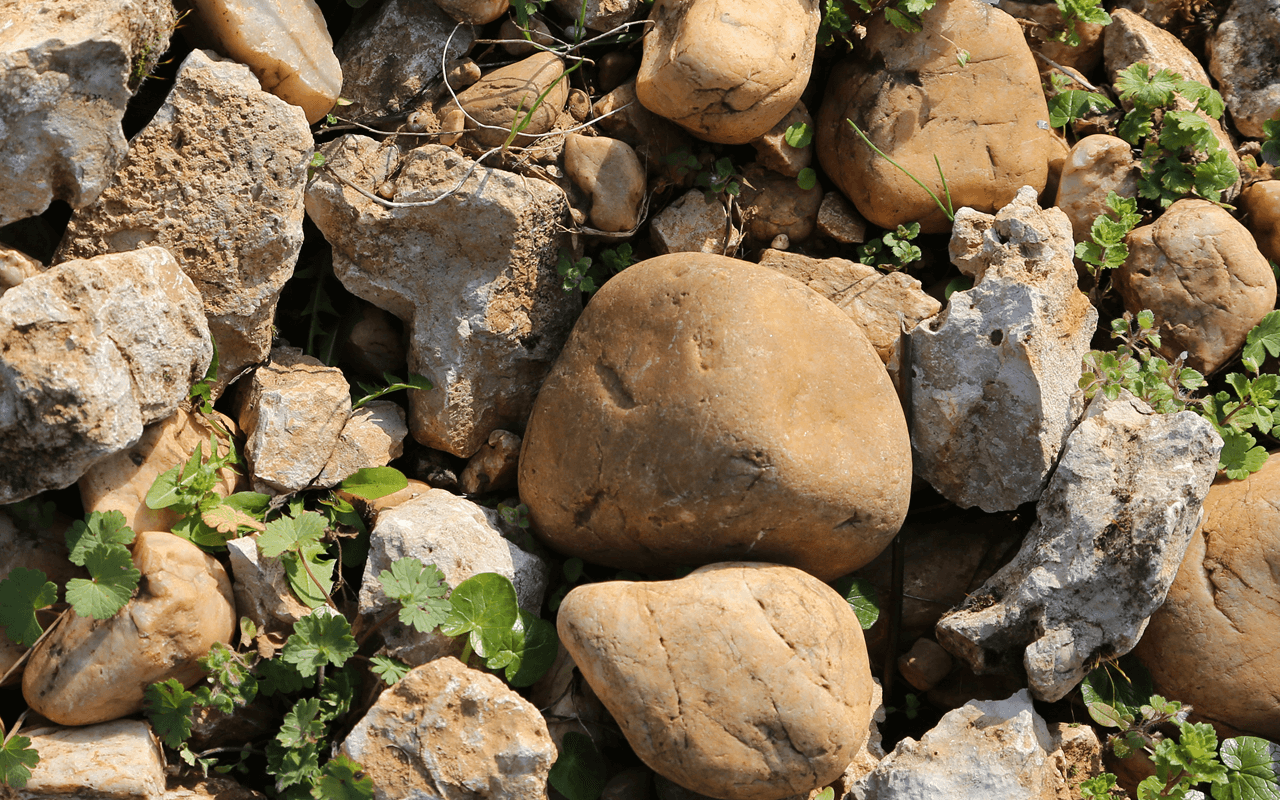 2020 Un Printemps dans de Lot, Weißwein, Quarzkiesel, Kalk, Feuerstein - Clos de Gamot, Cahors, Frankreich 