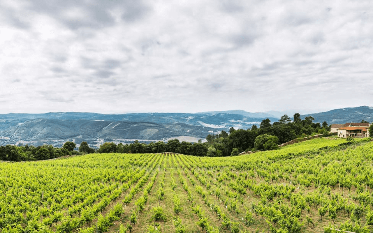 2018 Finca Viñoa Blanco, Weißwein, Schiefer, Gneis, Kristalle - Finca Viñoa, Ribeiro, Galizien, Spanien