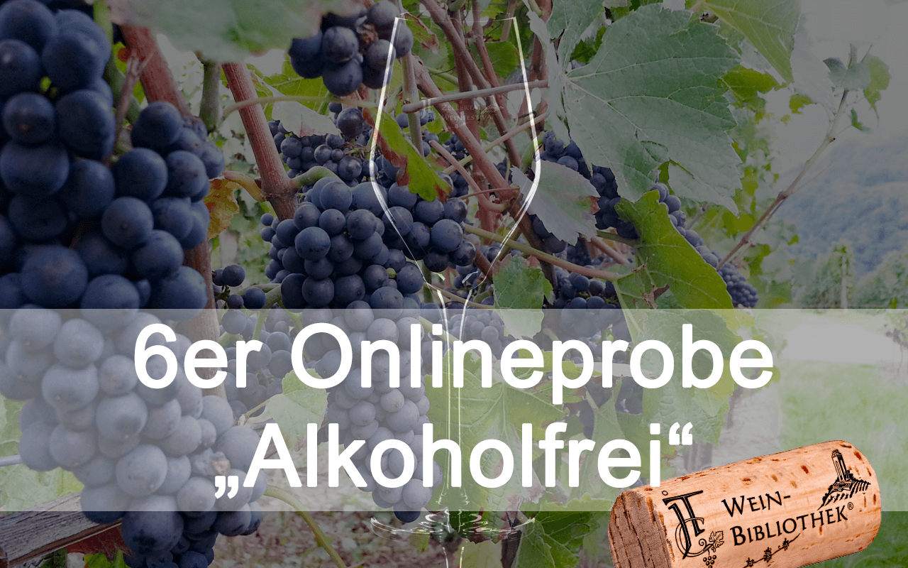 Online-Probe "Alkoholfrei" 6er Box für Ihre Degustation zu Hause (Termin nach Wunsch!) Online-Probe "Alkoholfrei" 6er Box für Ihre Degustation zu Hause (Termin nach Wunsch!)