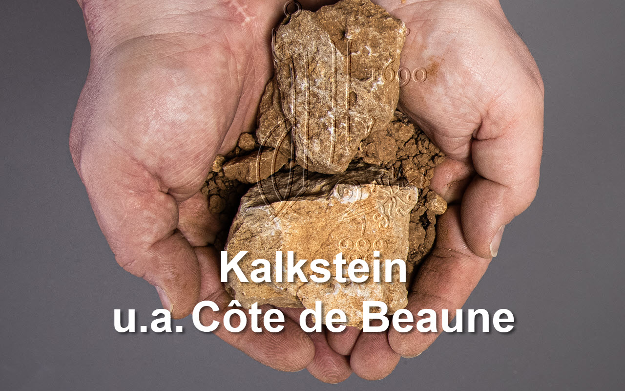 2018 Chardonnay Bourgogne "Kalkstein" Burgund, Frankreich  