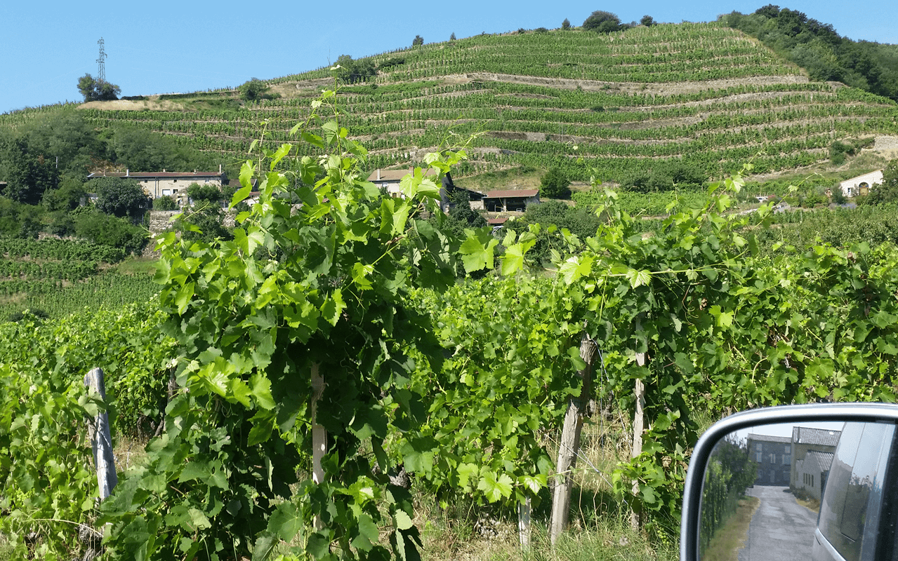 2015 Cornas "Gneis mit Granit" Nordrhône, Frankreich  