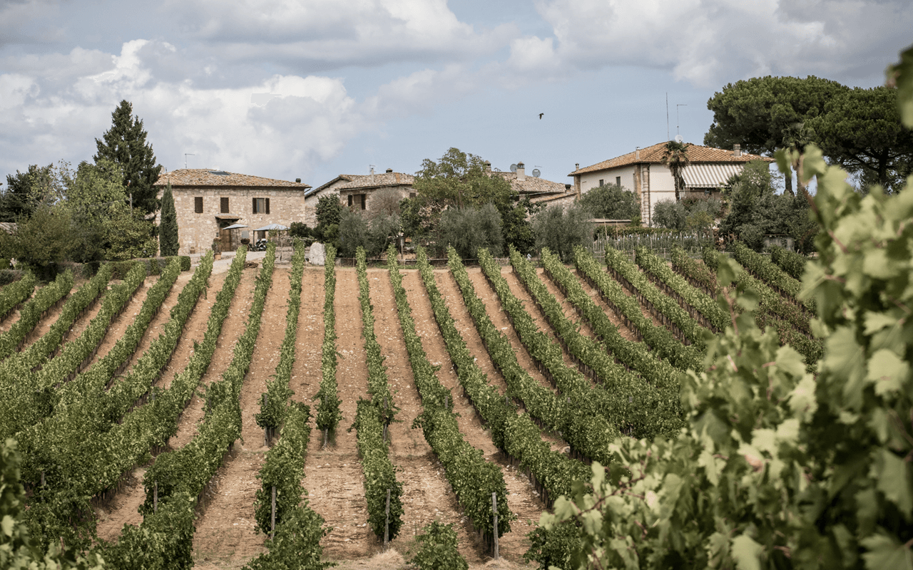 2010 Chianti Classico Riserva Doppelmagnum "Galestro-Mergel Kalk" Toskana, Italien 