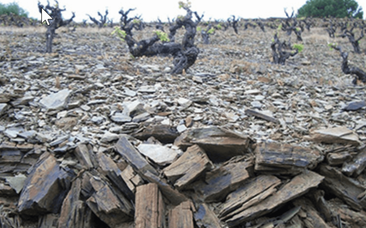 2017 Font de la Figuera Bio "Llicorella Schiefer Lehm" Priorat, Spanien 