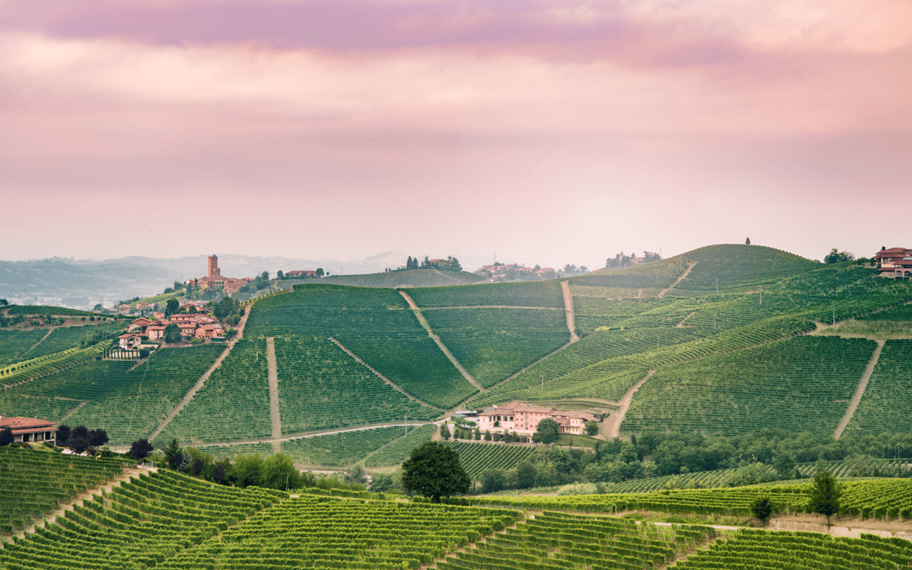 2016 Barbaresco "Tortonium Mergel Kalk" Piemont, Italien   