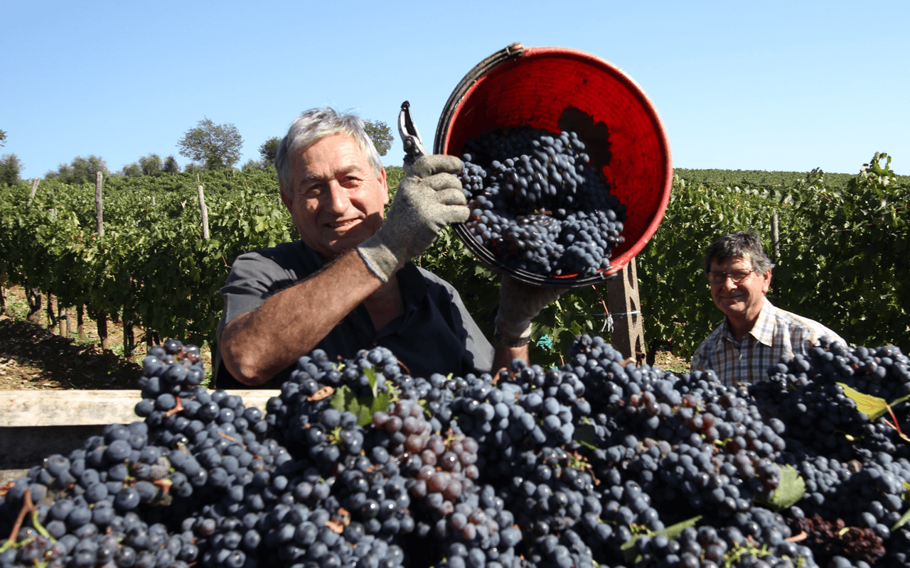 2011 Chianti Classico Millenium Gran Selezione "Galestro-Mergel Kalk" Toskana, Italien