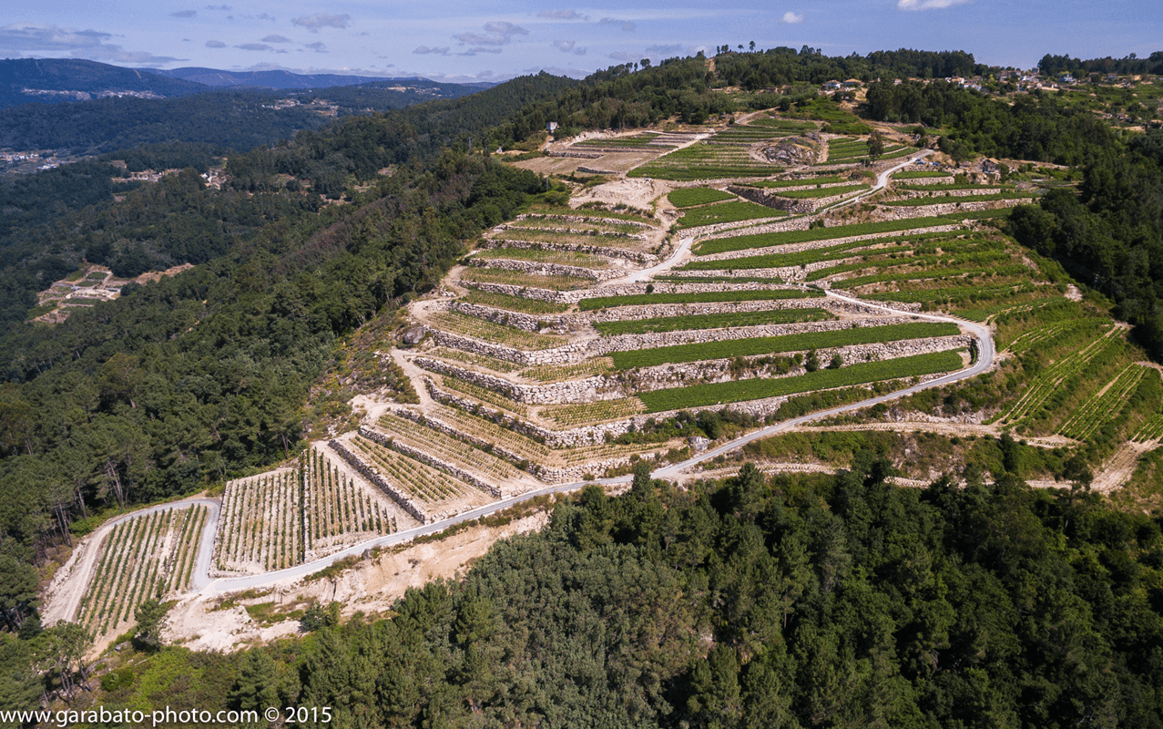 2018 Finca Viñoa Blanco, Weißwein, Schiefer, Gneis, Kristalle - Finca Viñoa, Ribeiro, Galizien, Spanien