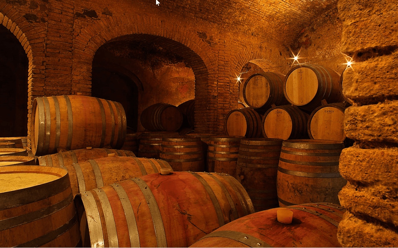 2015 Font de la Figuera Bio "Llicorella Schiefer Lehm" Priorat, Spanien 