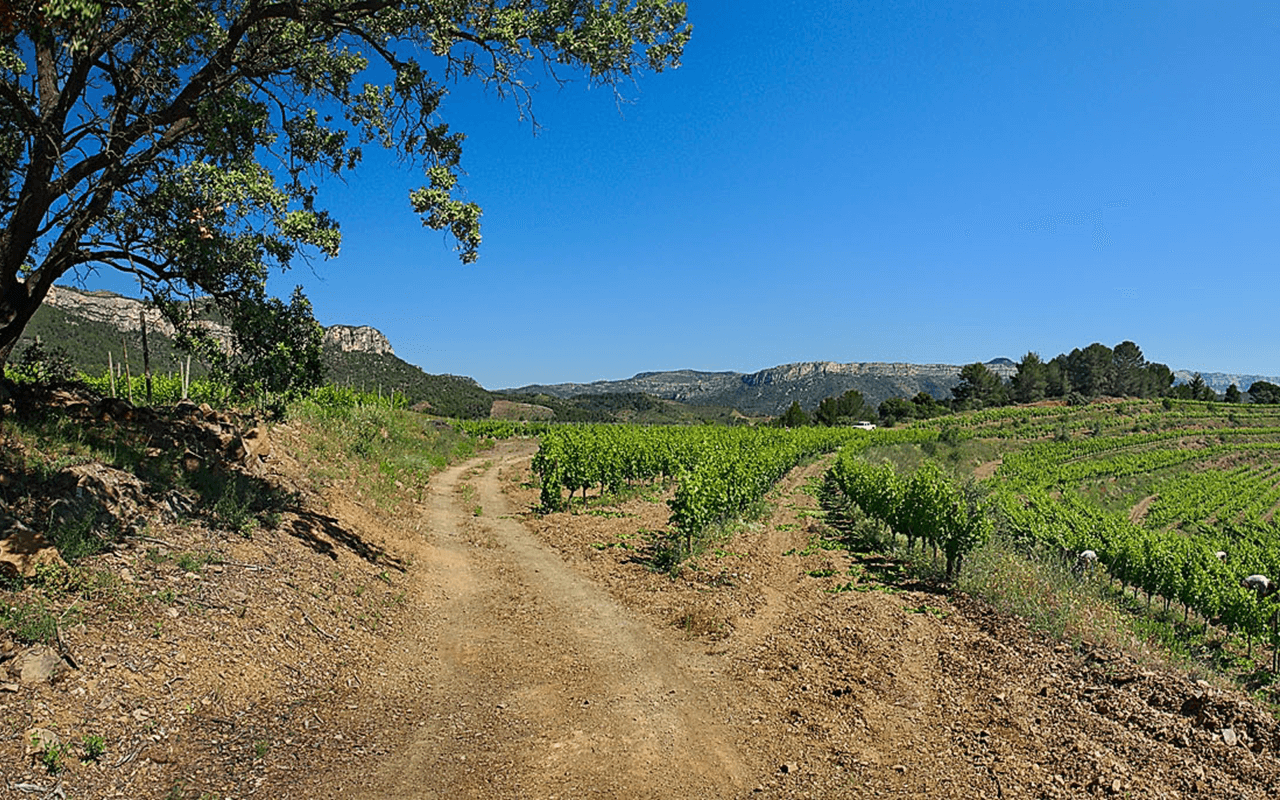 2018 Serras del Priorat Blanco Bio "Llicorella Schiefer Lehm" Priorat, Spanien 