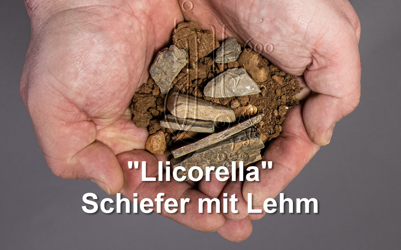 2015 Font de la Figuera Bio "Llicorella Schiefer Lehm" Priorat, Spanien 
