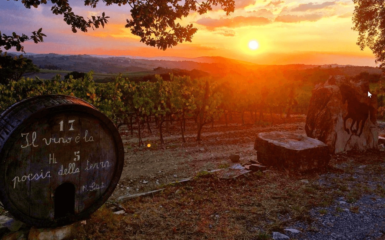 2016 Chianti Classico "Galestro-Mergel Kalk" Toskana, Italien 