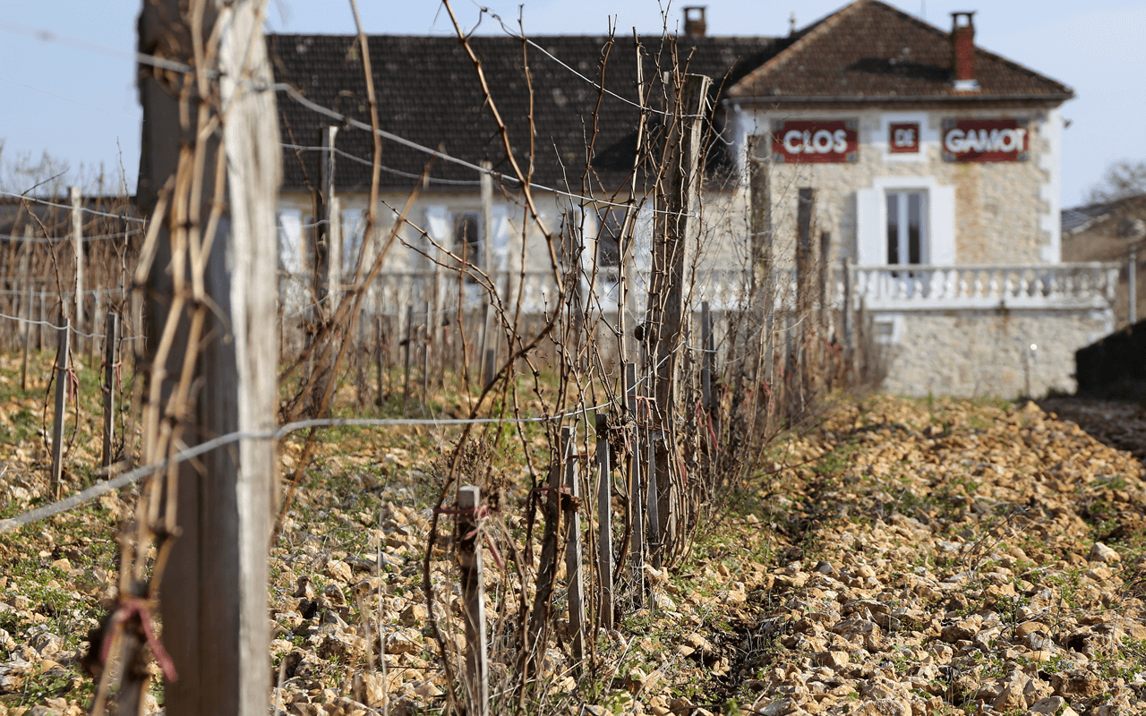 2016 Le Gamotin "Quarzkiesel Kalk Ton" Cahors, Frankreich