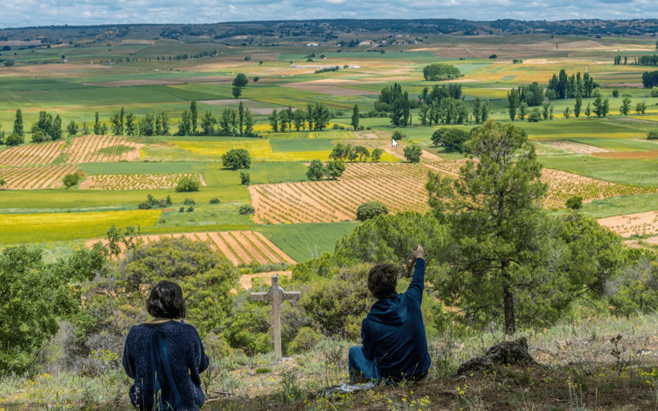 2018 Picaro Tinto Bio "Ton Kiesel Kalk" Ribera del Duero, Spanien