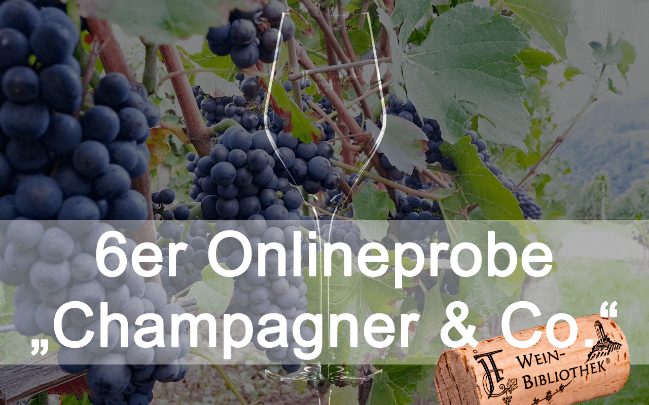 Online-Probe "Champagner & Co." 6er Box für Ihre Degustation zu Hause (Termin nach Wunsch!) Online-Probe "Champagner & Co." 6er Box für Ihre Degustation zu Hause (Termin nach Wunsch!)