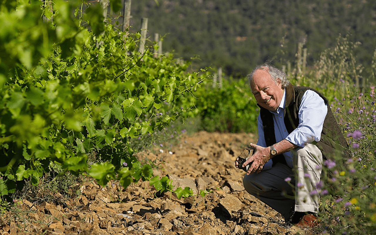 2015 Font de la Figuera Bio "Llicorella Schiefer Lehm" Priorat, Spanien 