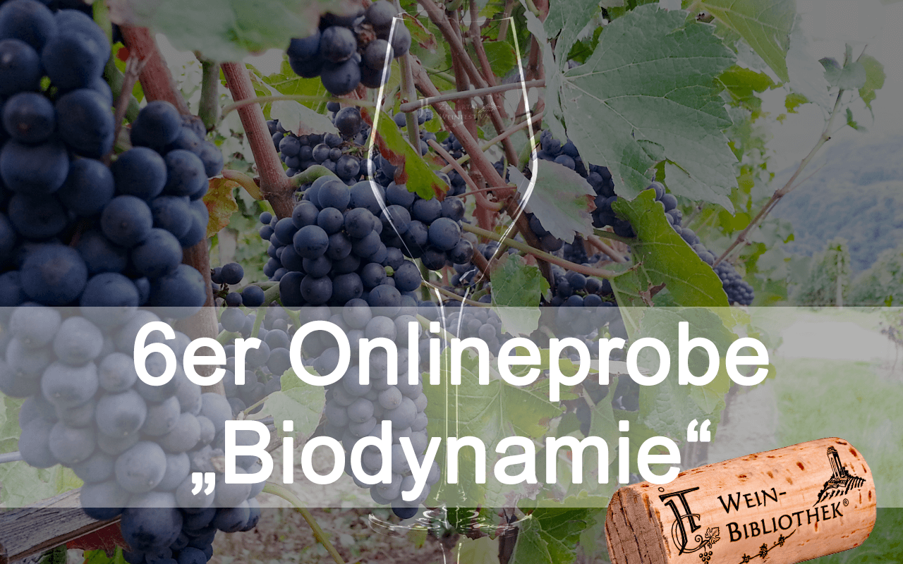 Online-Probe "Bio/Biodynamie" 6er Box für Ihre Degustation zu Hause (Termin nach Wunsch!) Online-Probe "Bio/Biodynamie" 6er Box für Ihre Degustation zu Hause (Termin nach Wunsch!)