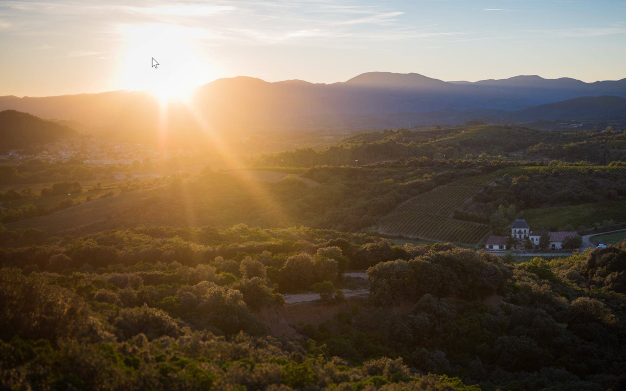 2019 Les Schistes Bio "Roter Schiefer" Saint-Chinian Languedoc, Frankreich 