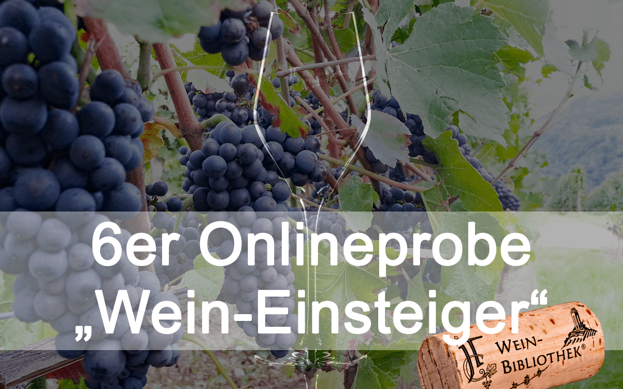 Online-Probe "Wein-Einsteiger" 6er Box für Ihre Degustation zu Hause (Termin nach Wunsch!)