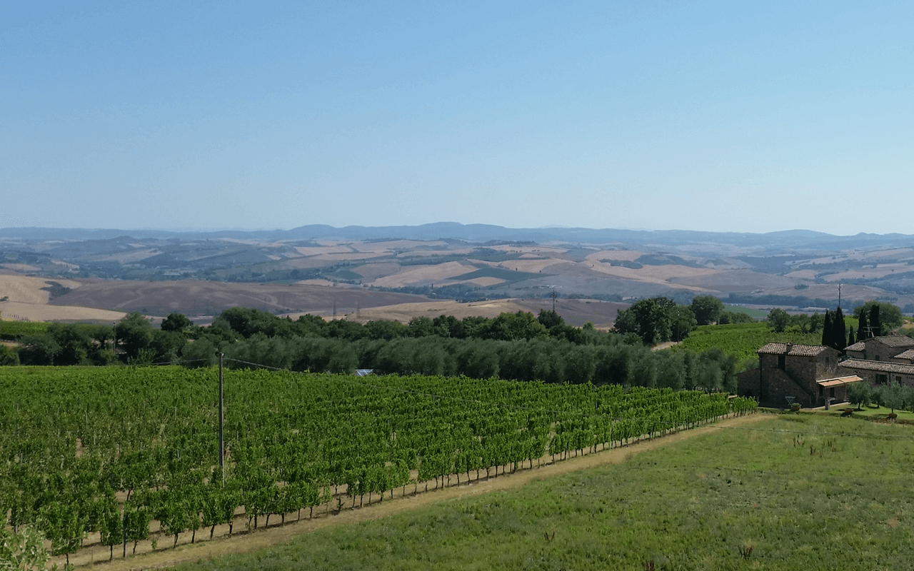 2014 Origini Brunello di Montalcino "Galestro-Mergel Kalk" Montalcino, Italien