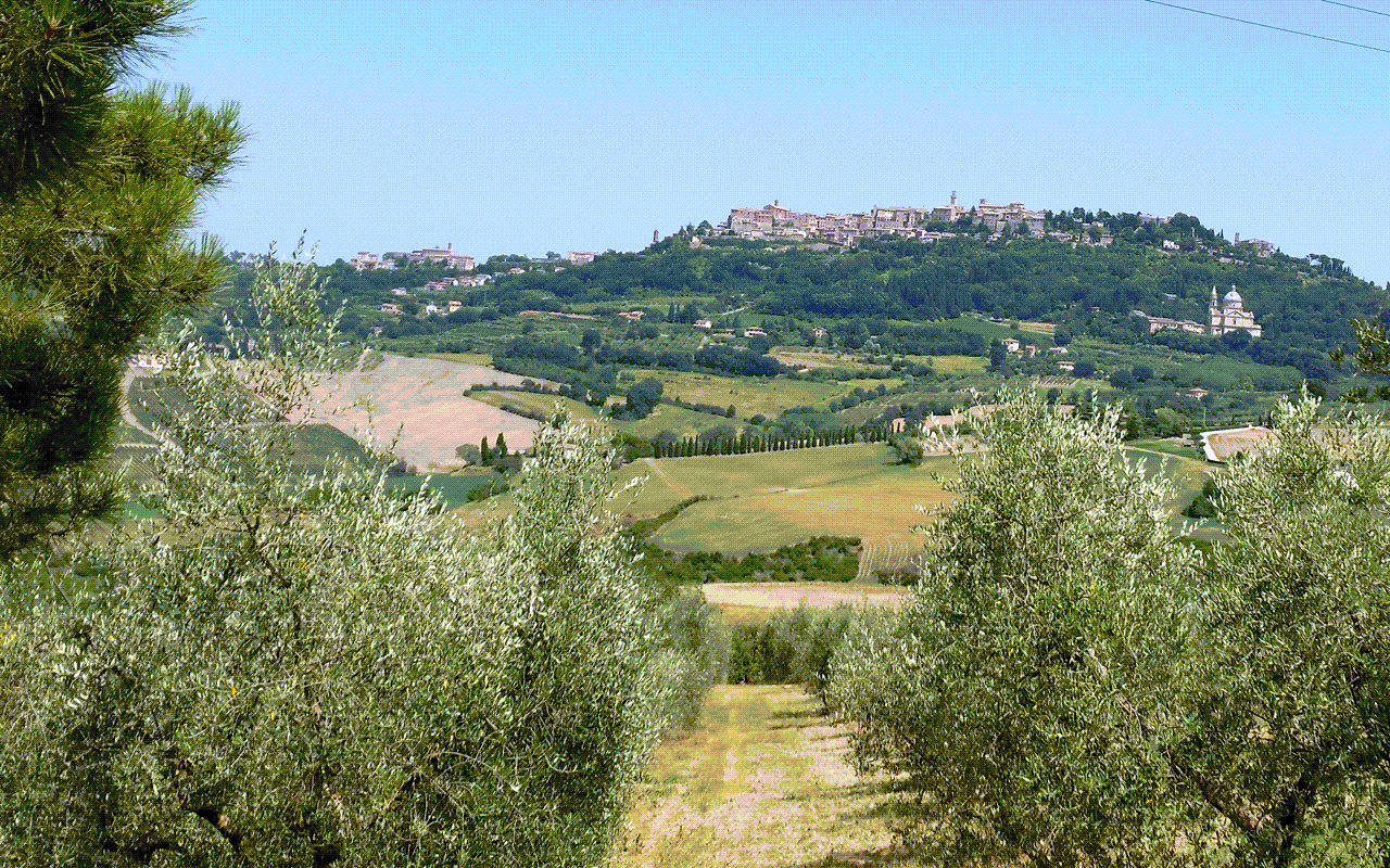 2011 Vin Santo di Motepulciano Ada "Pliozän-Kalk Fossilien" Montepulciano, Italien  