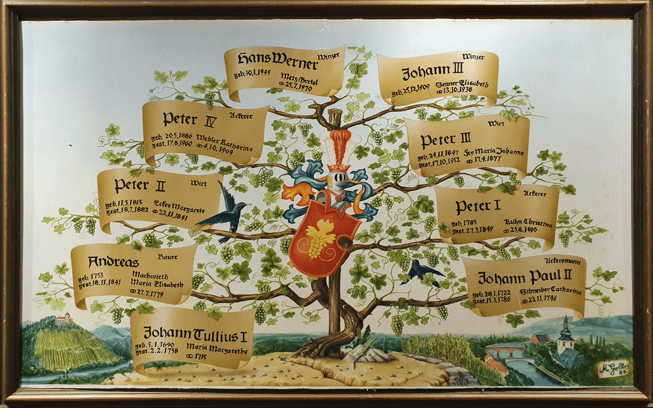 Sparbox "11 plus 1" mit Demeter Cabernet Franc, Loire zum 333-jährigen Jubiläum