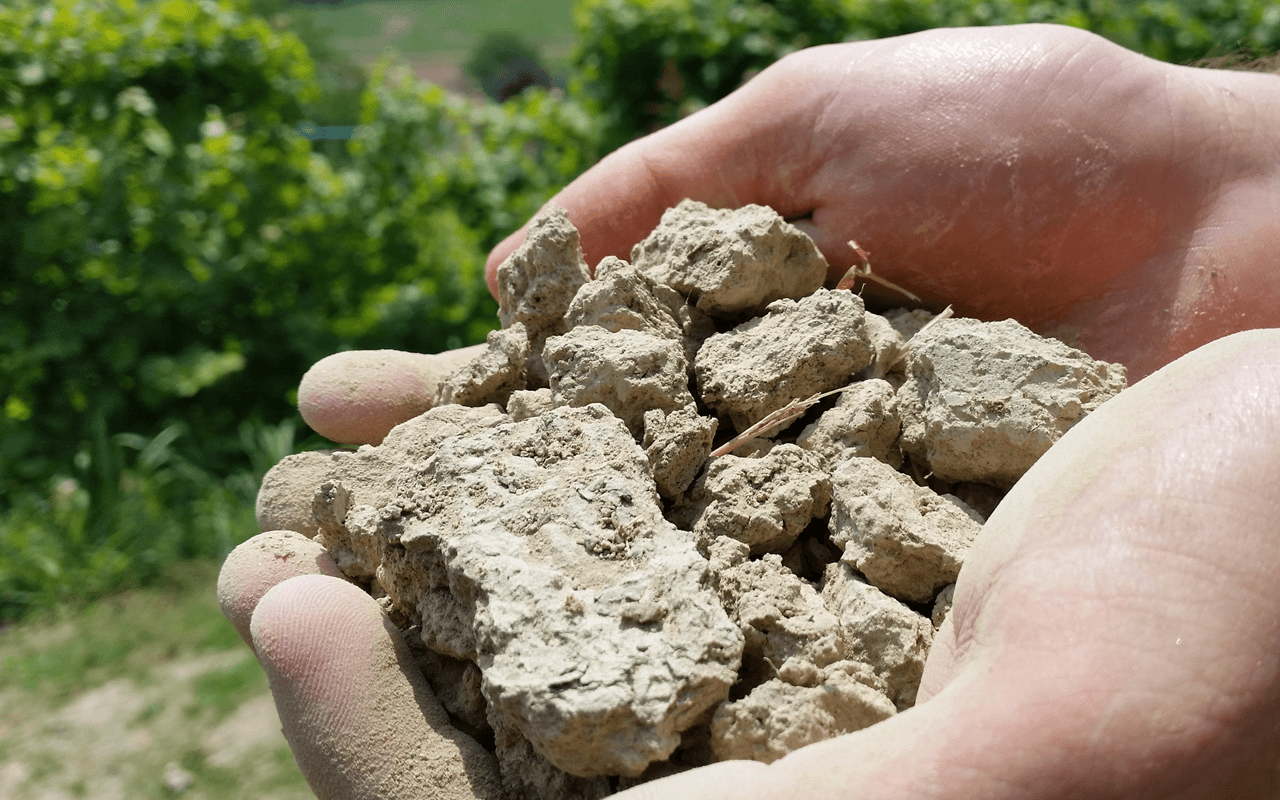 2018 Arneis Langhe Bio "Ton Kalk" Piemont, Italien