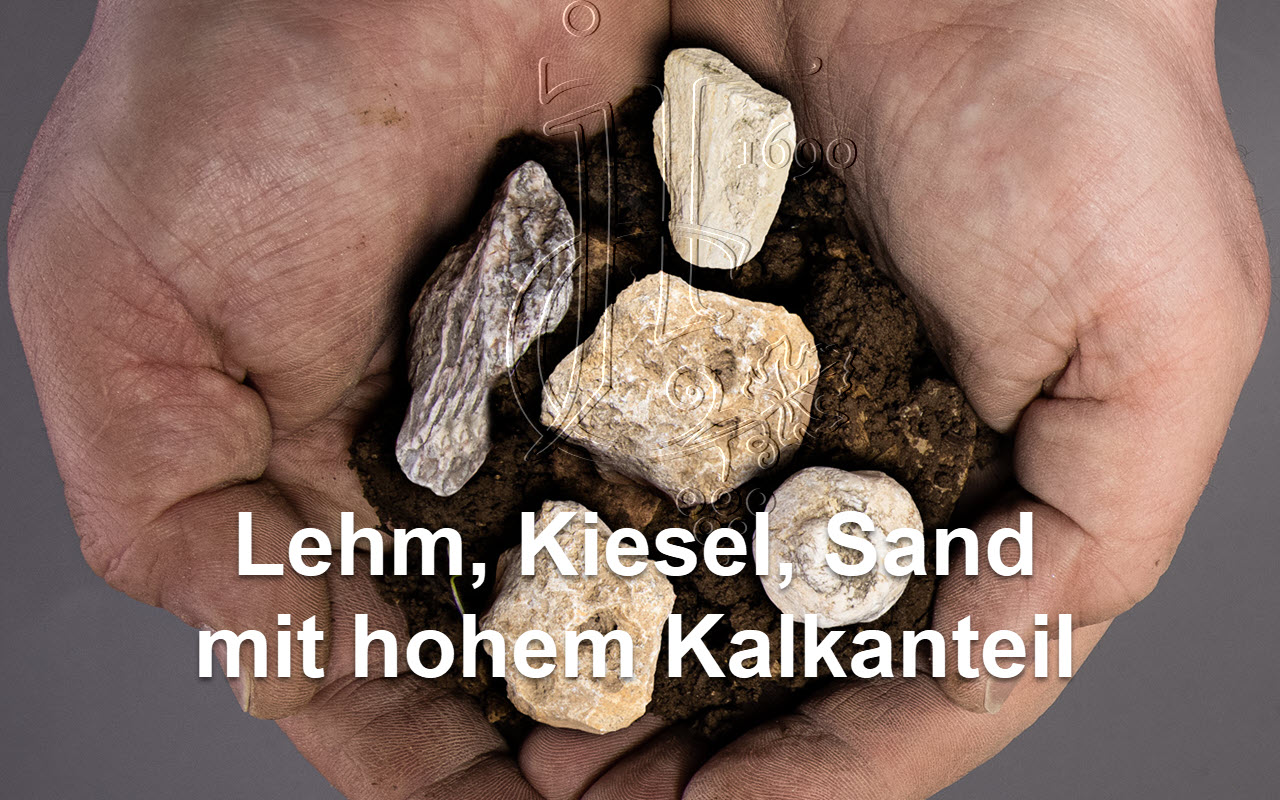 JTC La Famille Rosé Secco "Lehm Kiesel Sand" - Sommelier-Edition, Mittelhaardt, Pfalz, Deutschland