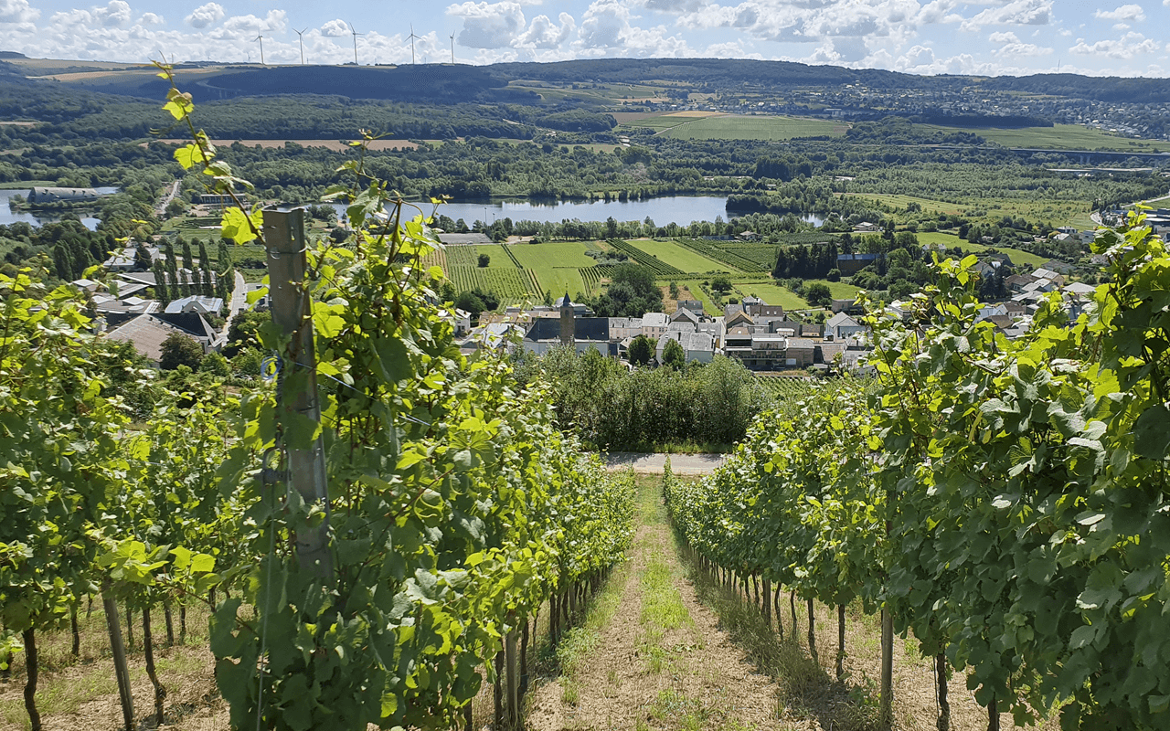 Crémant de Luxembourg klein Le Castel  "Gipskeuper" Moselle, Luxembourg   