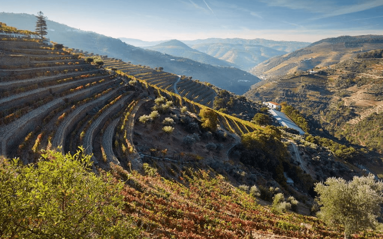 Portwein Tawny Reserva "Schiefer" Quinta do Passadouro, Douro, Portugal