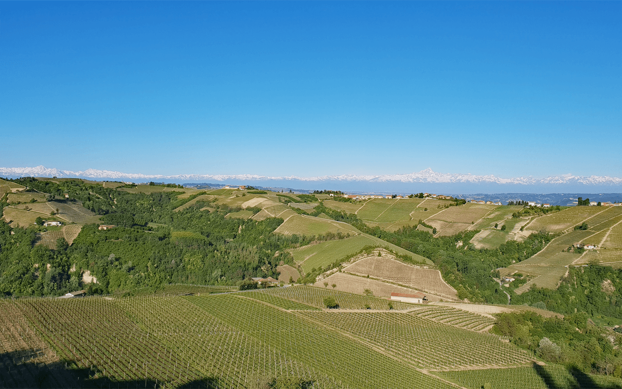 2022 Brachetto Schaumwein "Braunerde" Piemont, Italien