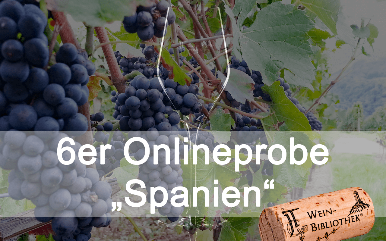 Online-Probe "Spanien" 6er Box für Ihre Degustation zu Hause (Termin nach Wunsch!) Online-Probe "Spanien" 6er Box für Ihre Degustation zu Hause (Termin nach Wunsch!)