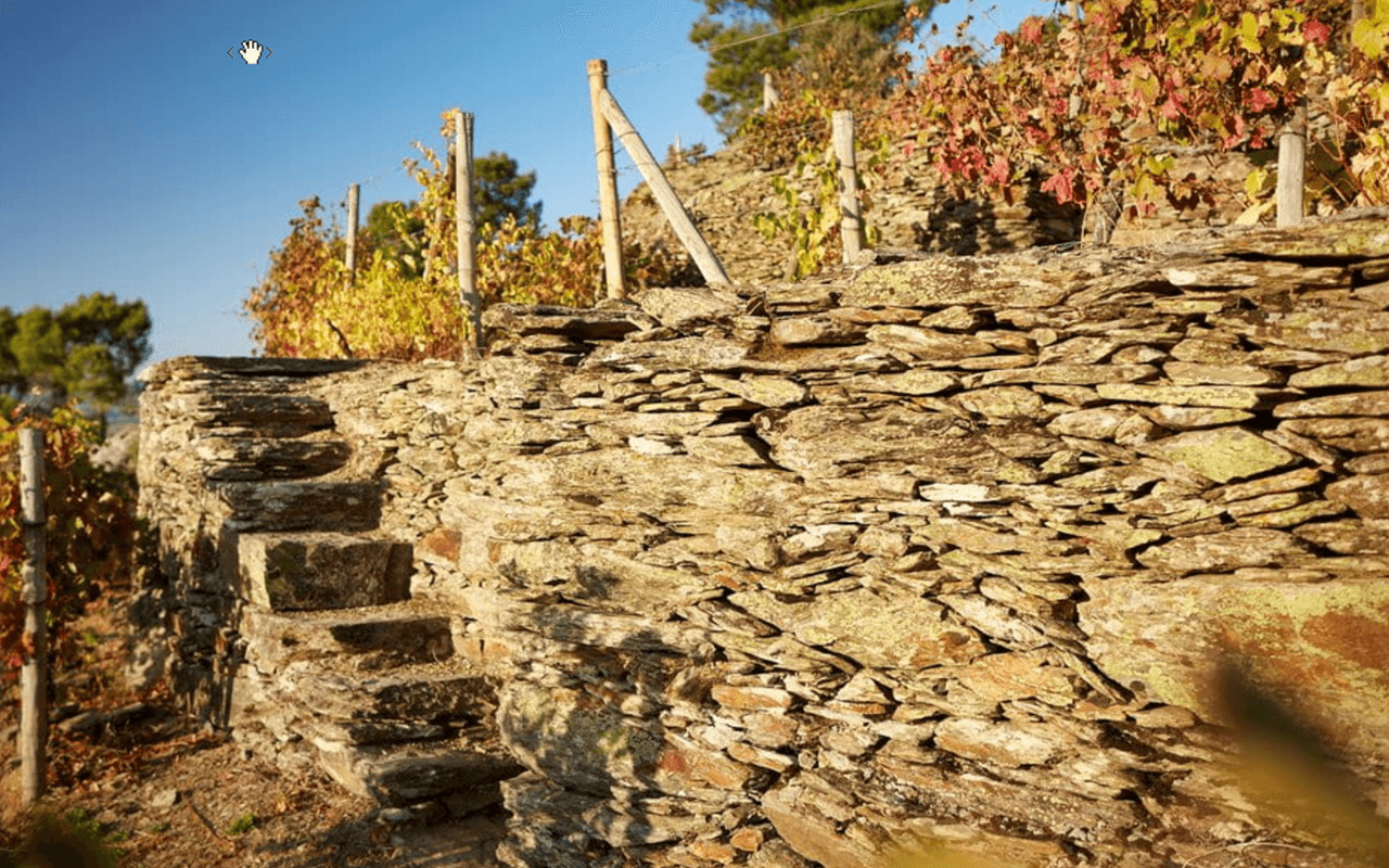 Portwein Tawny Reserva "Schiefer" Quinta do Passadouro, Douro, Portugal