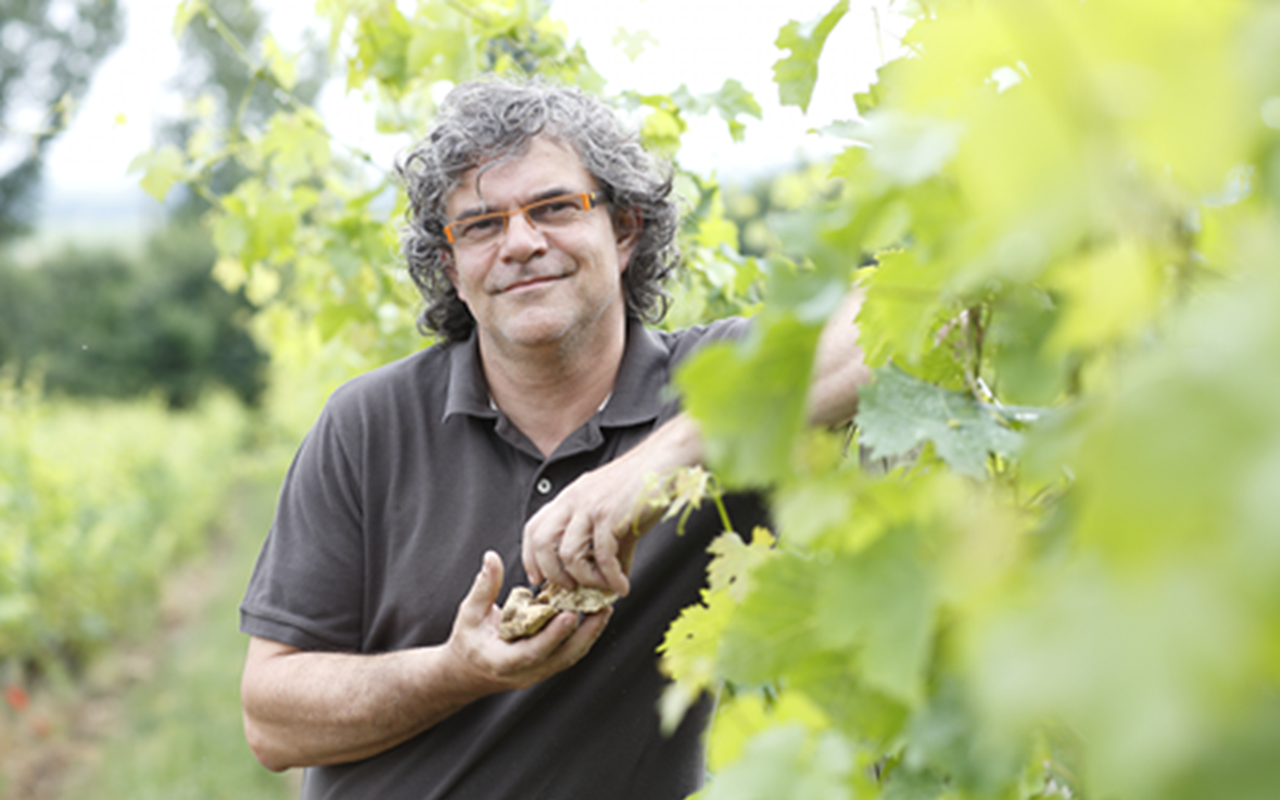 2016 Le Fondis Bio Demeter "Quarzkiesel Kalk" St. Nicolas de Bourgueil (Loire), Frankreich