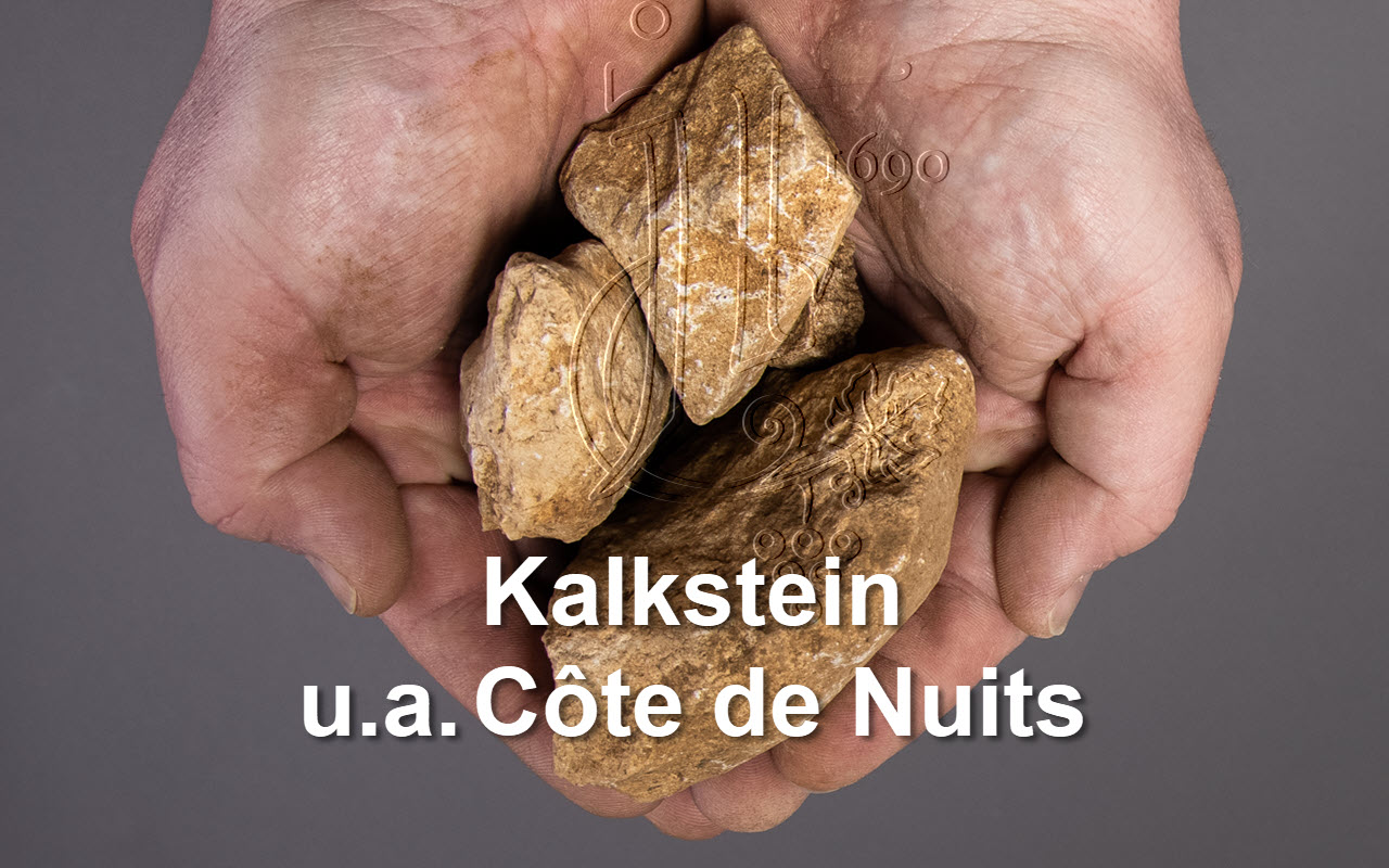2014 Corton Grand Cru Les Renardes "Kalkstein" Côte de Nuits Burgund, Frankreich