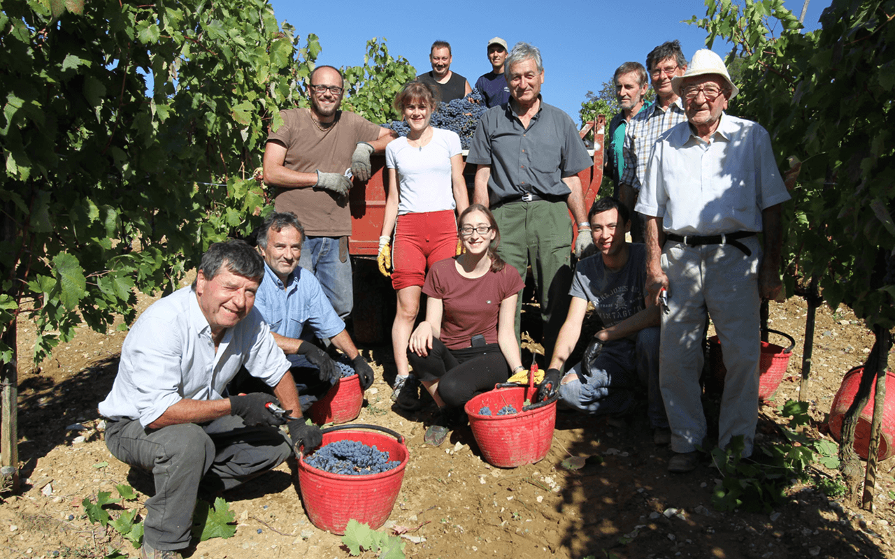 2017 Rosso Cavalier Tranquillo, Rotwein, Galestro, Mergel, Kalk - Losi Querciavalle, Toskana, Italien