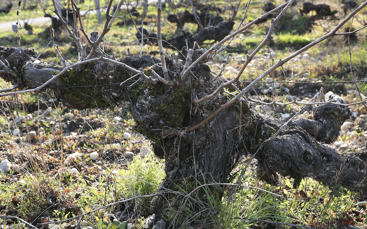 2014 Clos de Gamot Magnum "Quarzkiesel Kalk Sand" Cahors, Frankreich