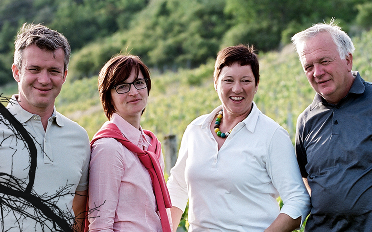 2017 Saybritz Reserve, Weißwein, Eisenoxid, Schiefer, Quarzit - Kopfensteiner, Eisenberg, Burgenland, Österreich