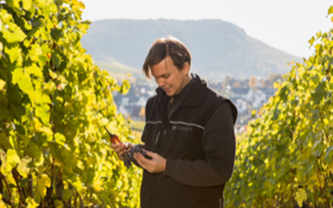 JTC Stückfass 2019 Lemberger Rotwein "Kieselsandstein" Remstal, Deutschland