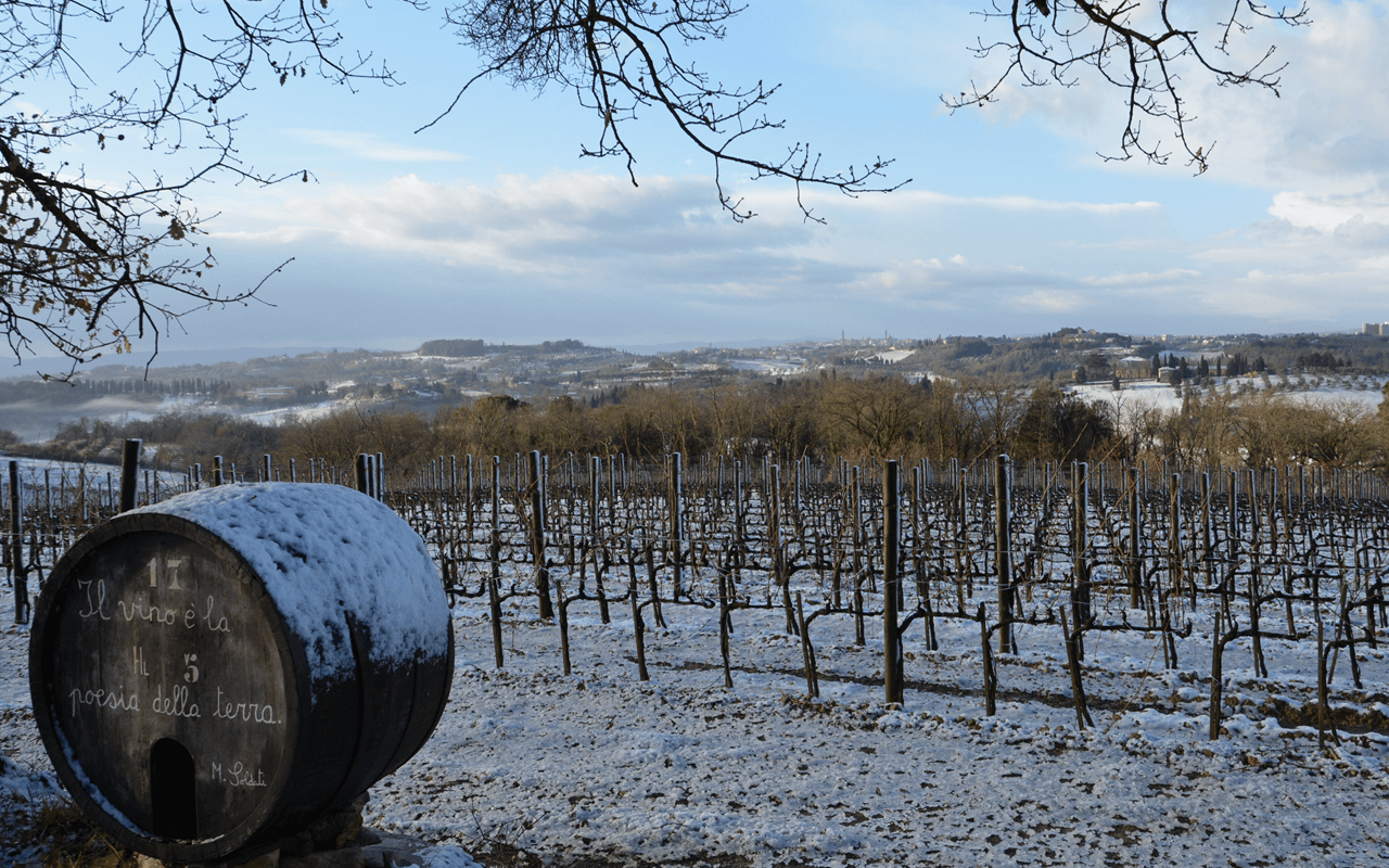 2017 Rosso Cavalier Tranquillo, Rotwein, Galestro, Mergel, Kalk - Losi Querciavalle, Toskana, Italien